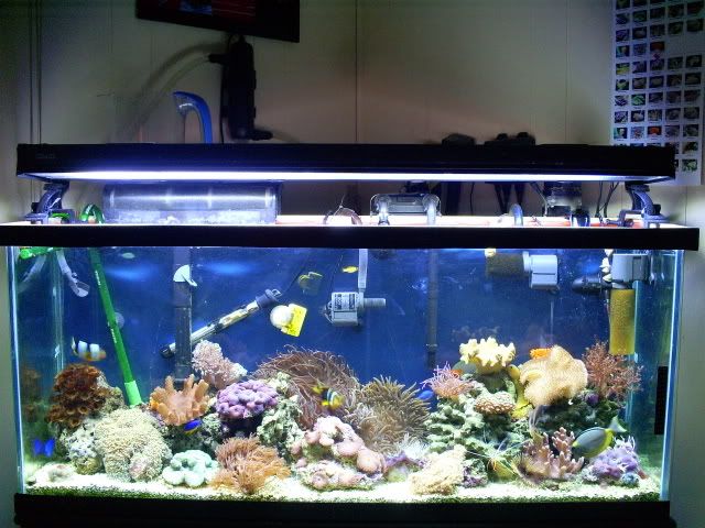 S5030436.jpg