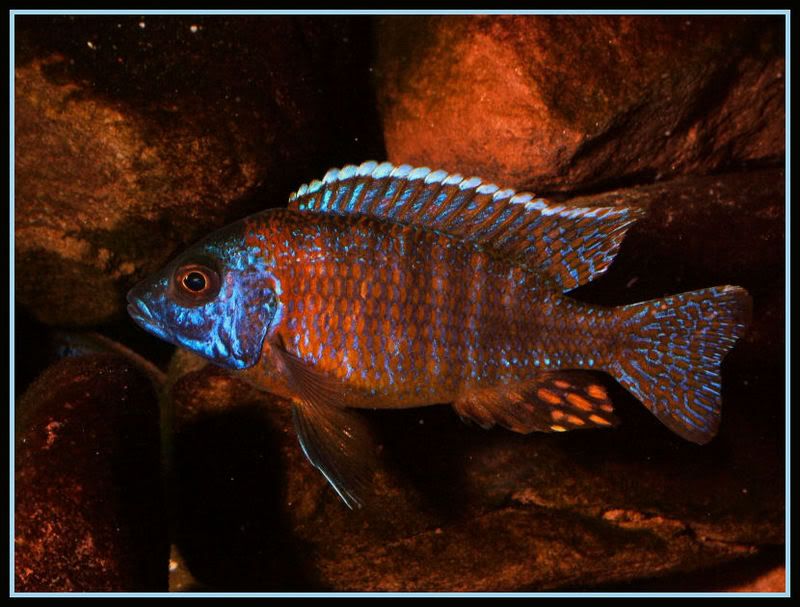 DSCF6559.jpg
