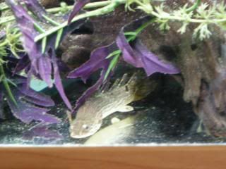 DSCN1629.jpg