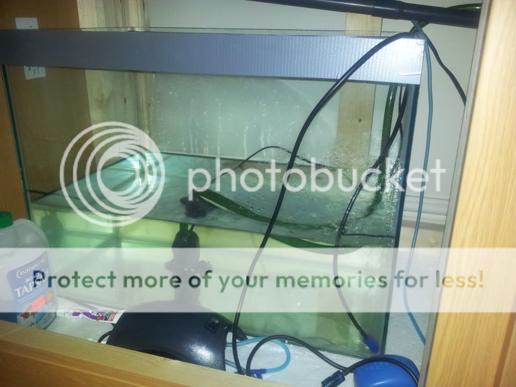 2011-12-14114924.jpg