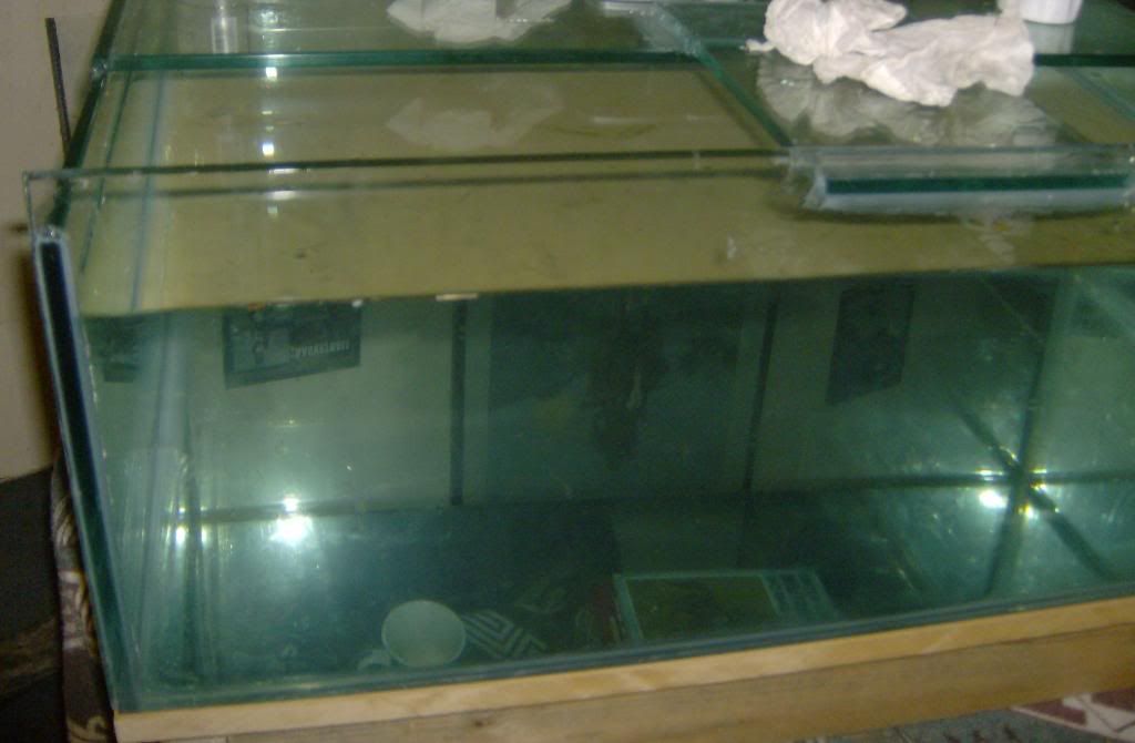 tankbuild017.jpg