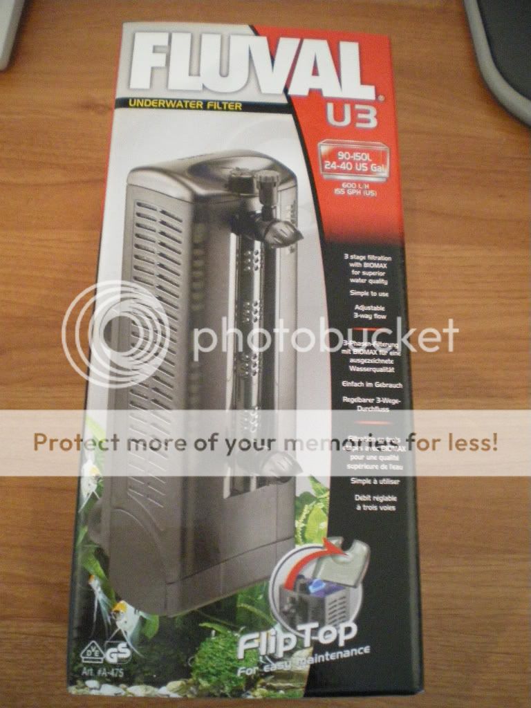 IMGP1425.jpg