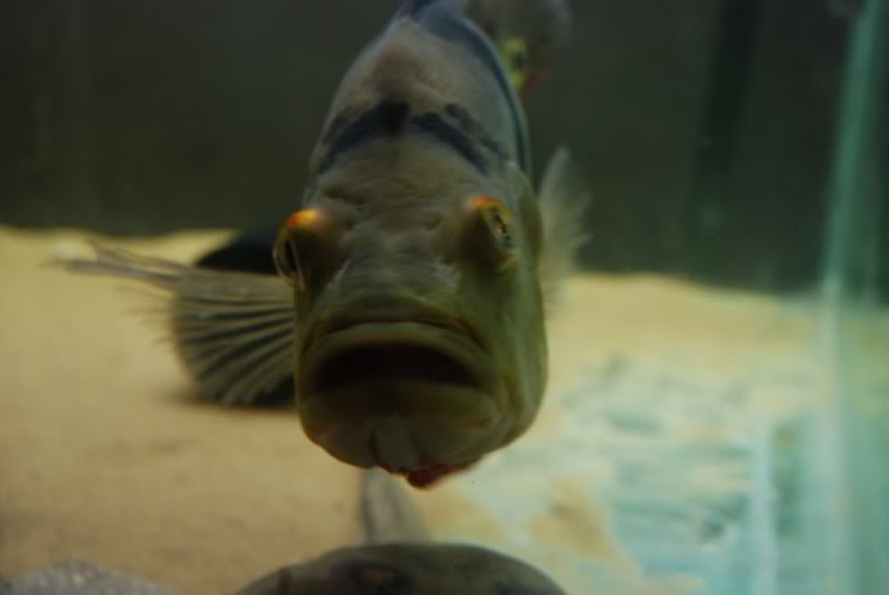 DSC_0171.jpg