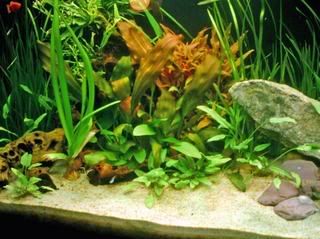 IMAG0003-3.jpg