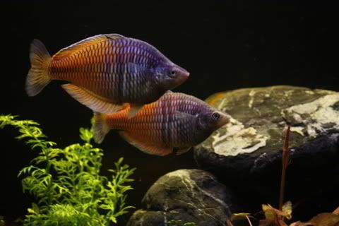 TEST191.jpg