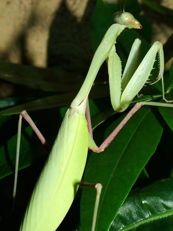 DSCF3954.jpg