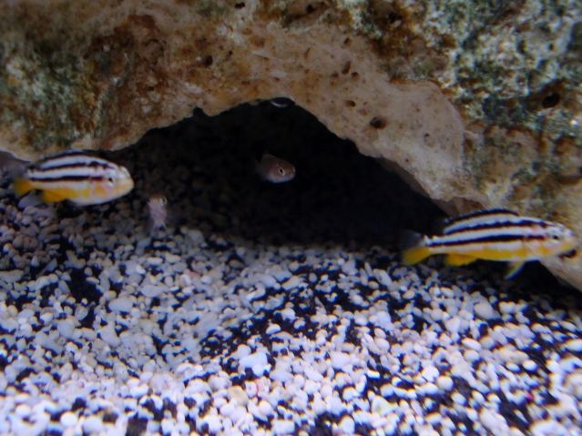 DSC01107.jpg