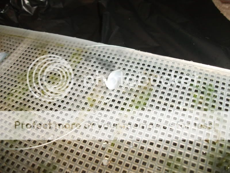 DSCF3121.jpg