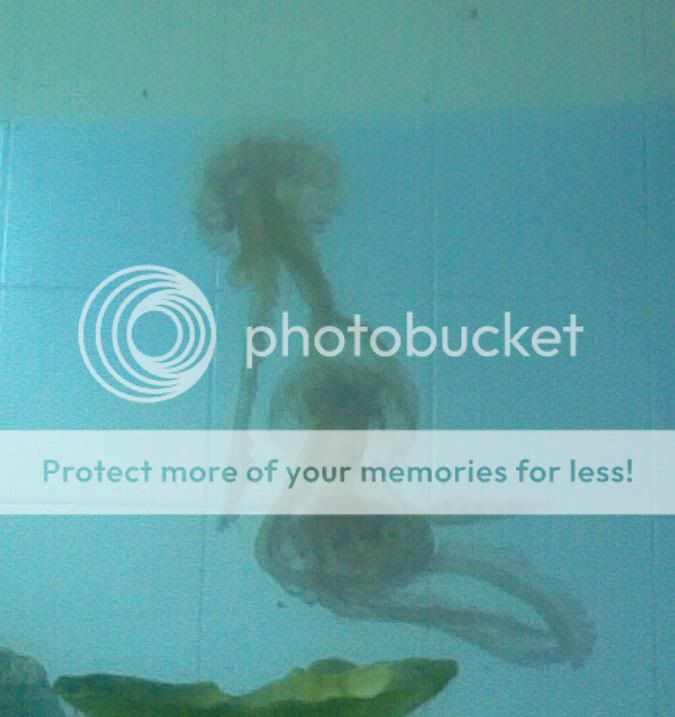 18072006006.jpg