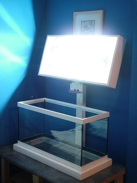 DSCF0773-1.jpg