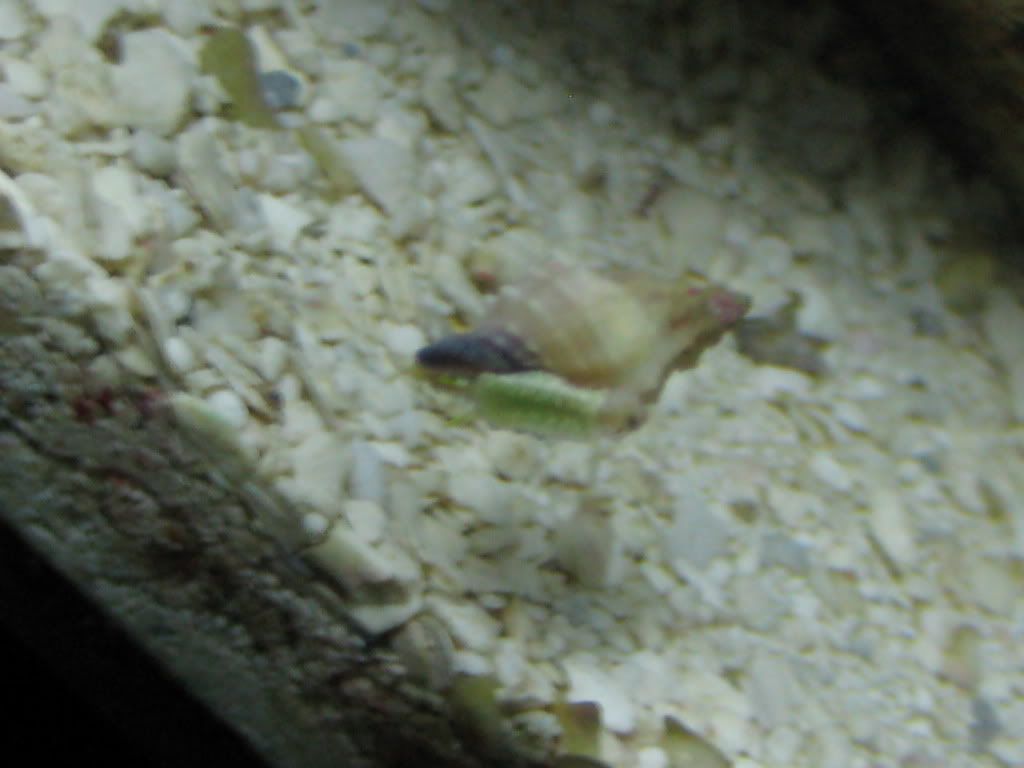 IMG_0992.jpg