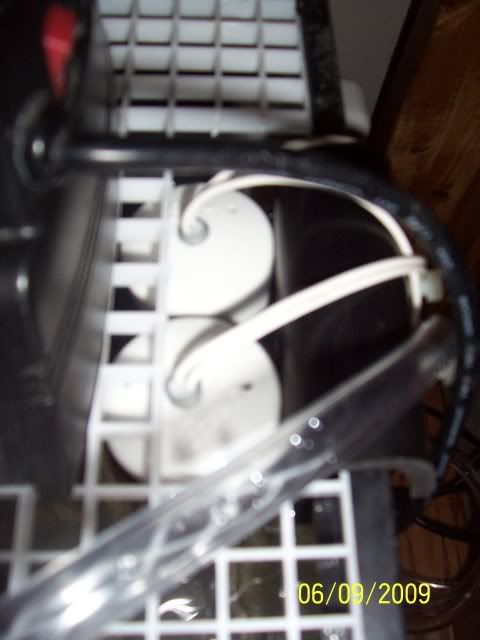 100_6571.jpg
