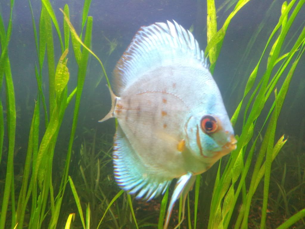 2012-02-29192341.jpg