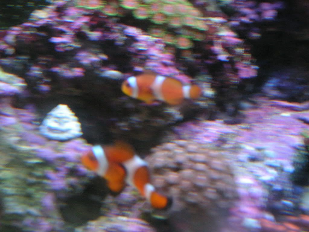 PICT1337.jpg