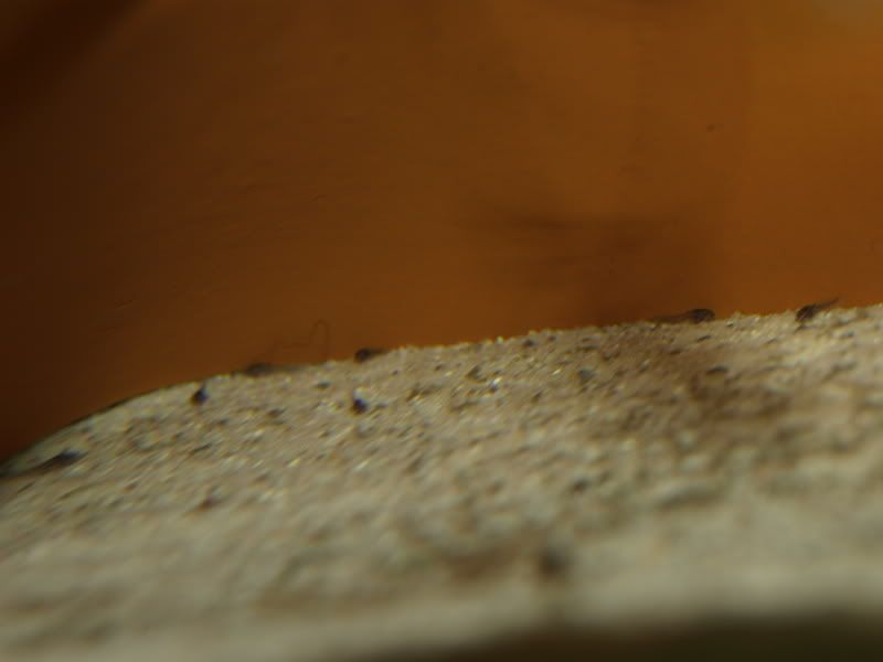 _2212662.jpg