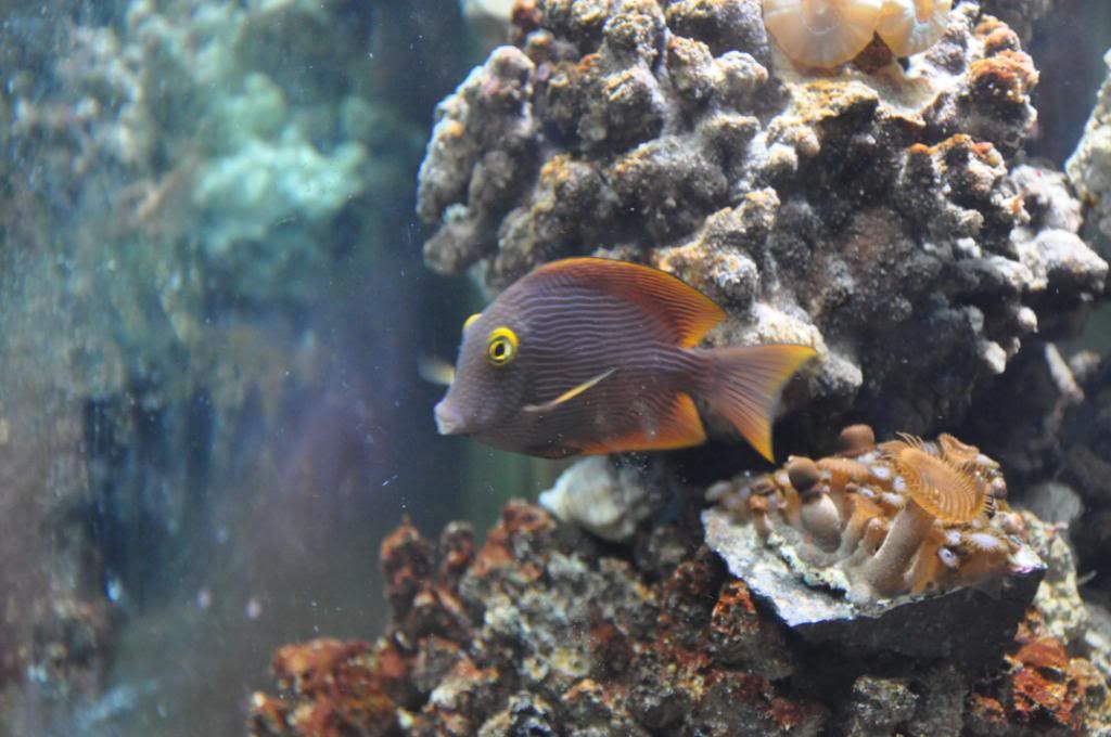 fishpictures036.jpg
