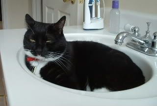 MikeintheSink6.jpg