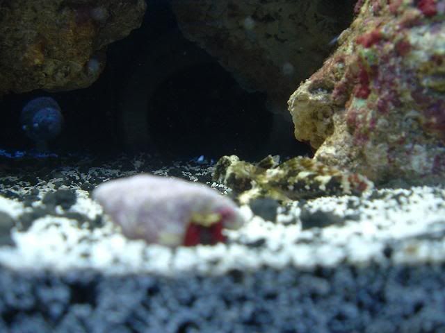 DSCF0308.jpg
