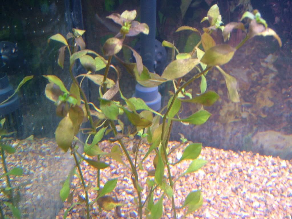 DSCF3831.jpg