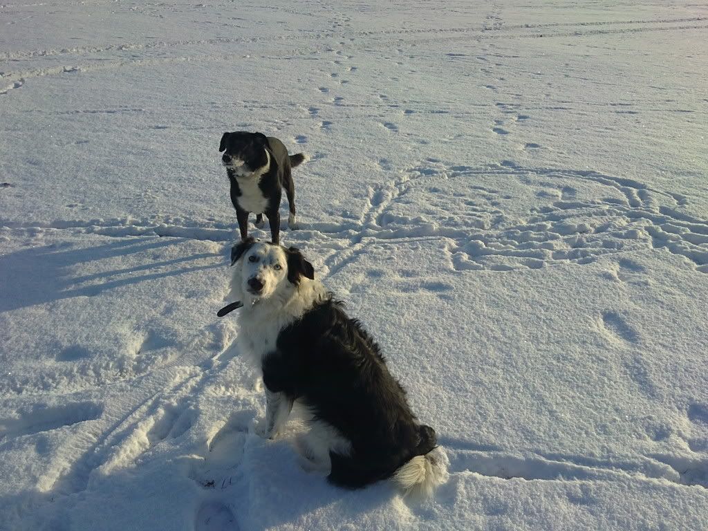 03122010217.jpg