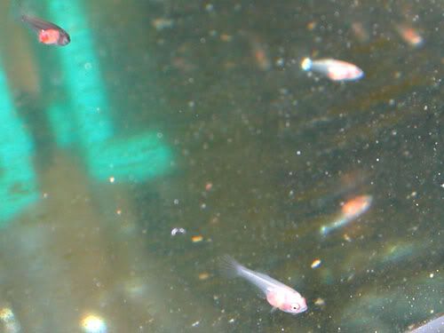 DSCN3880.jpg