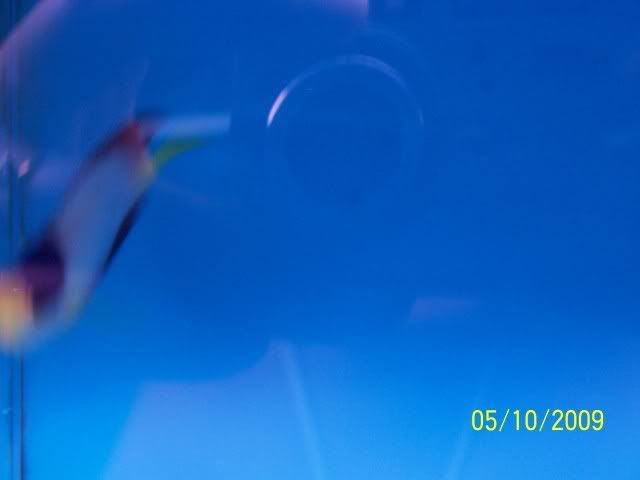 100_6133.jpg