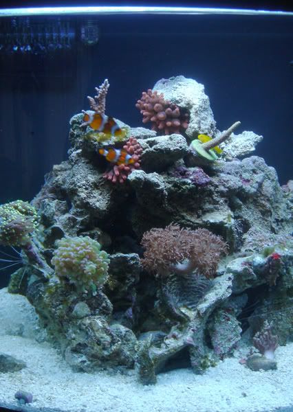 tank_01-1.jpg