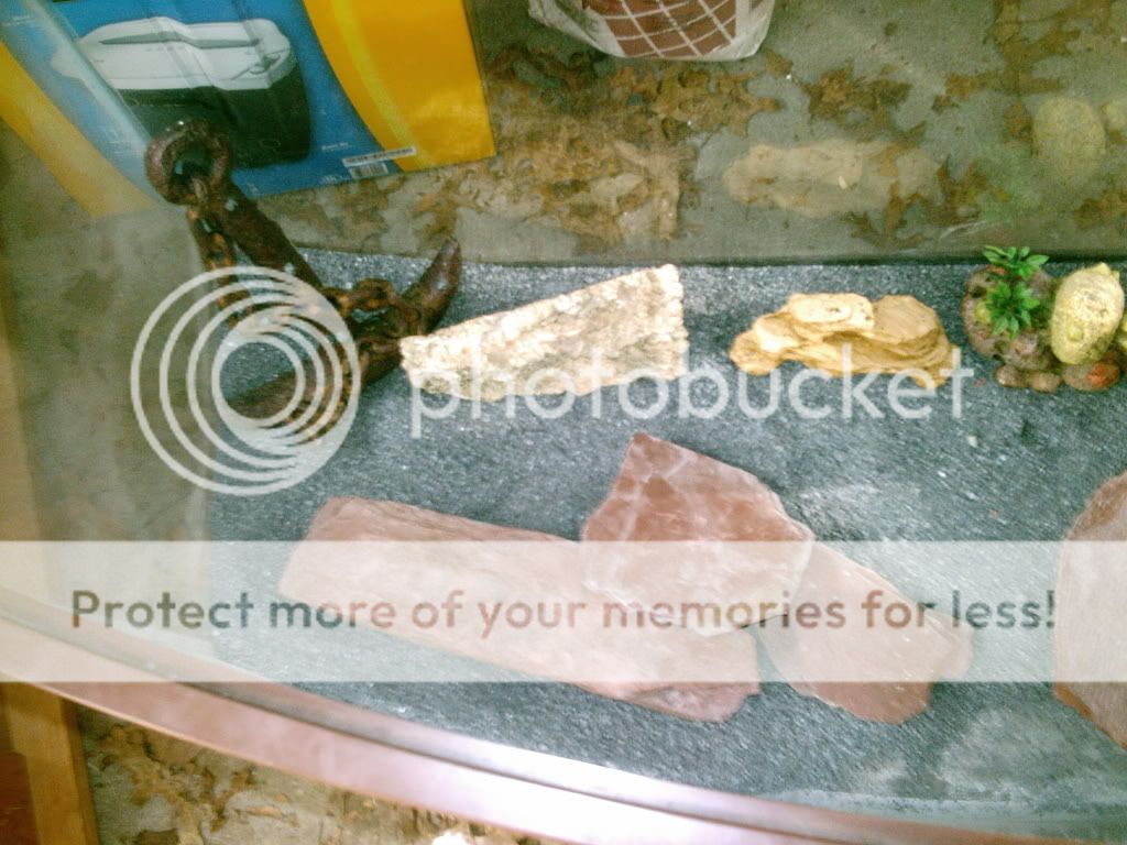 IMAG0005-2.jpg