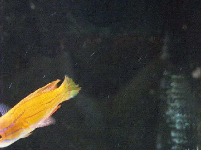 SN850640.jpg