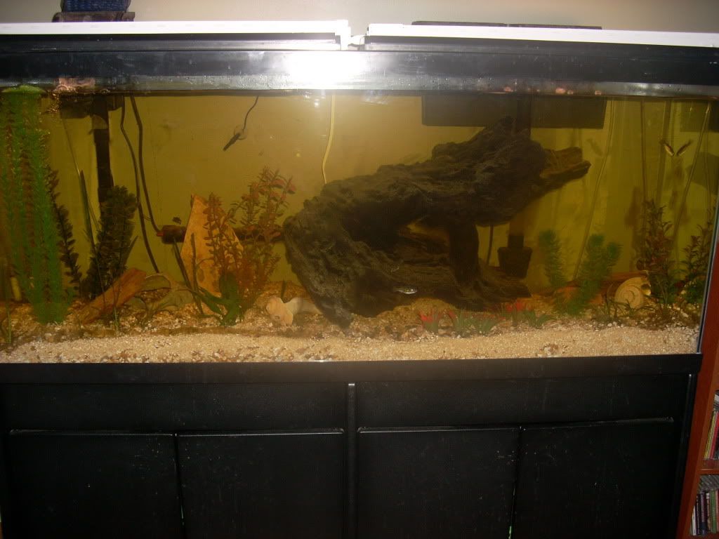 DSCN7147.jpg
