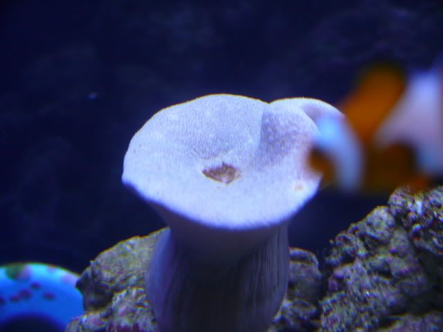P1040428-1.jpg