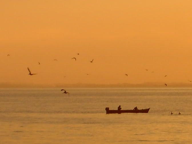 S5008173.jpg