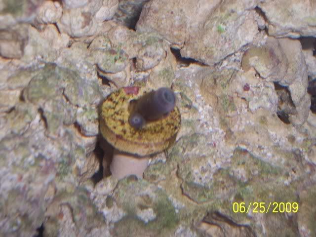 100_6925.jpg