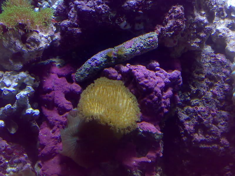 07012007086.jpg