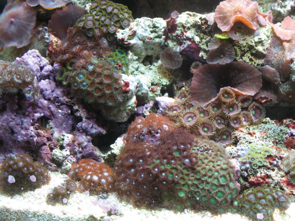 IMG_1975.jpg