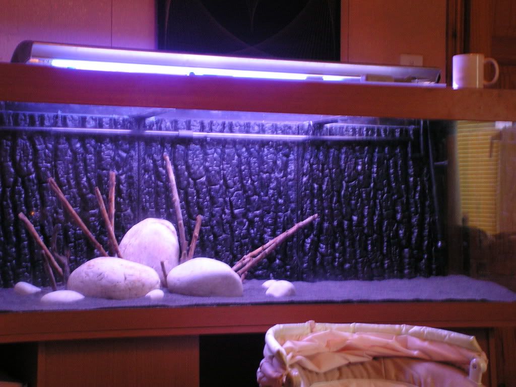 PICT1132.jpg
