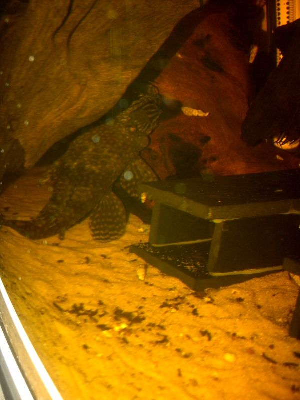 IMG-20120830-00383.jpg