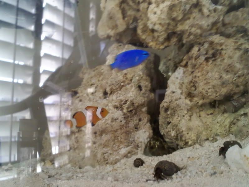1207091504a.jpg