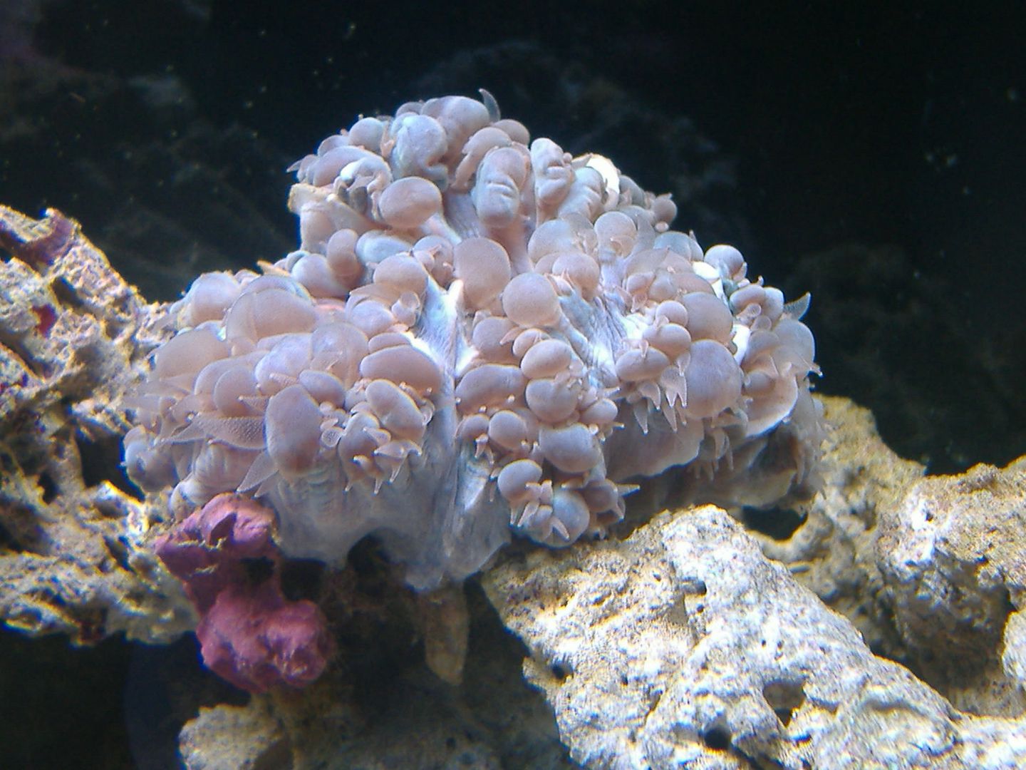 DSCF0478.jpg