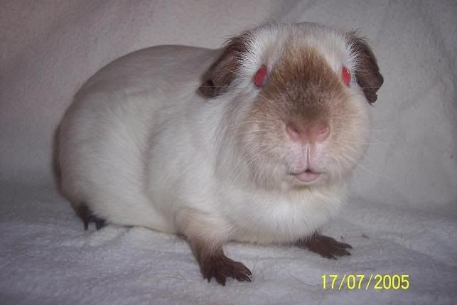 lily-pad05.jpg