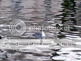 Image017.jpg