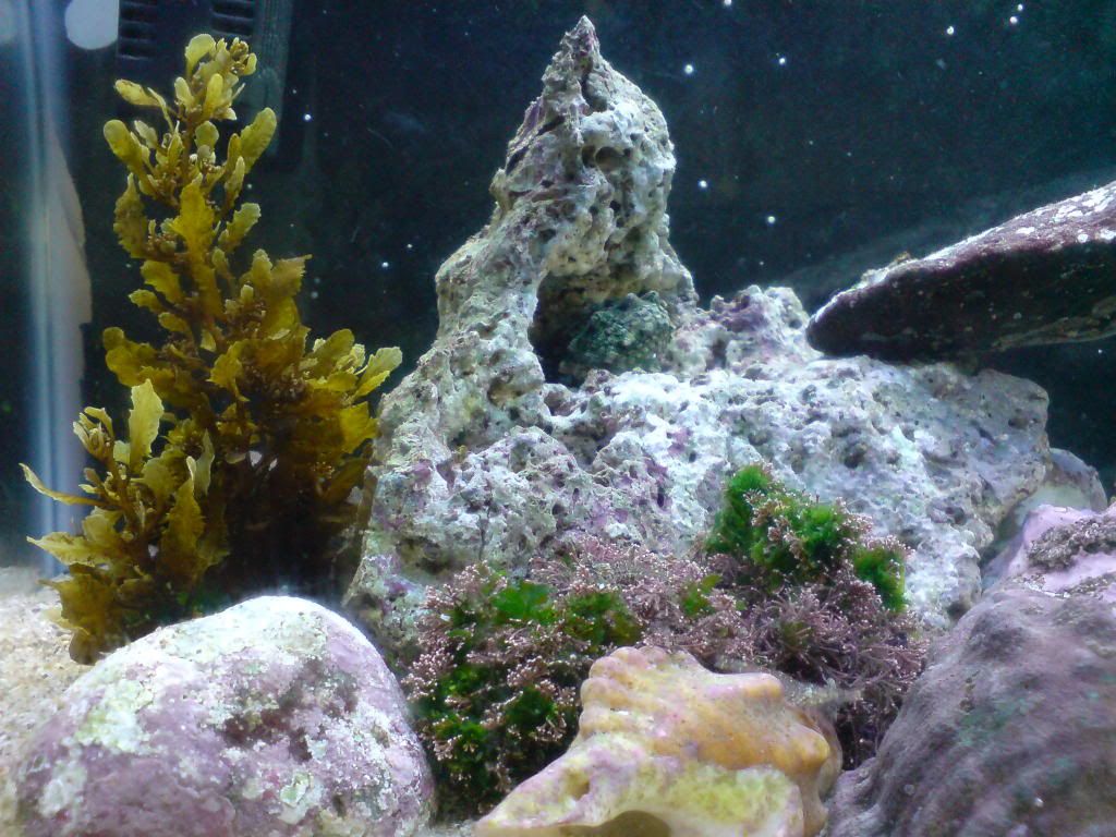 DSC00654.jpg