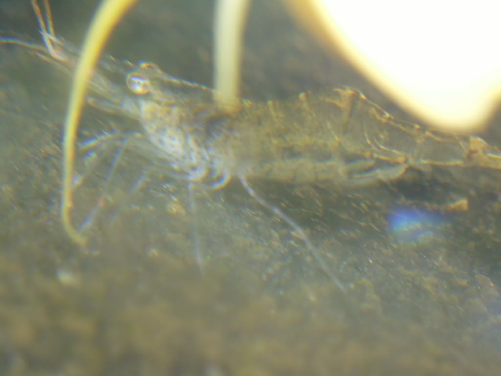 S7002508.jpg