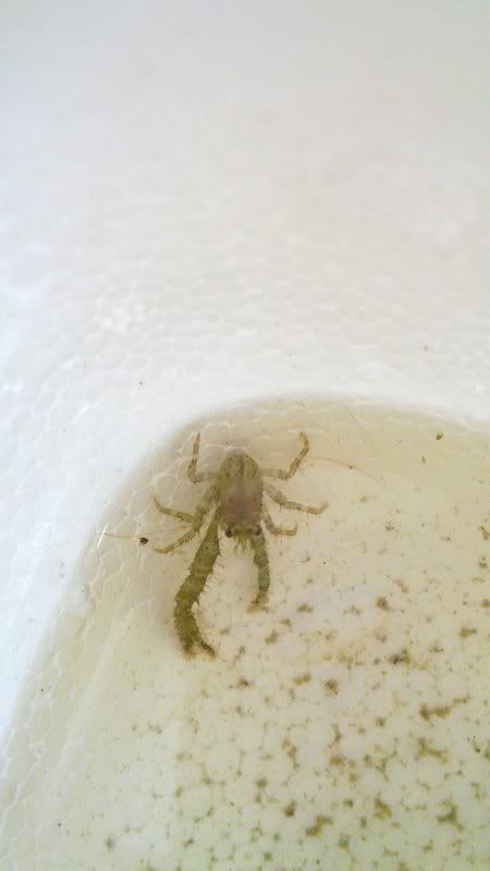 20100919_005.jpg