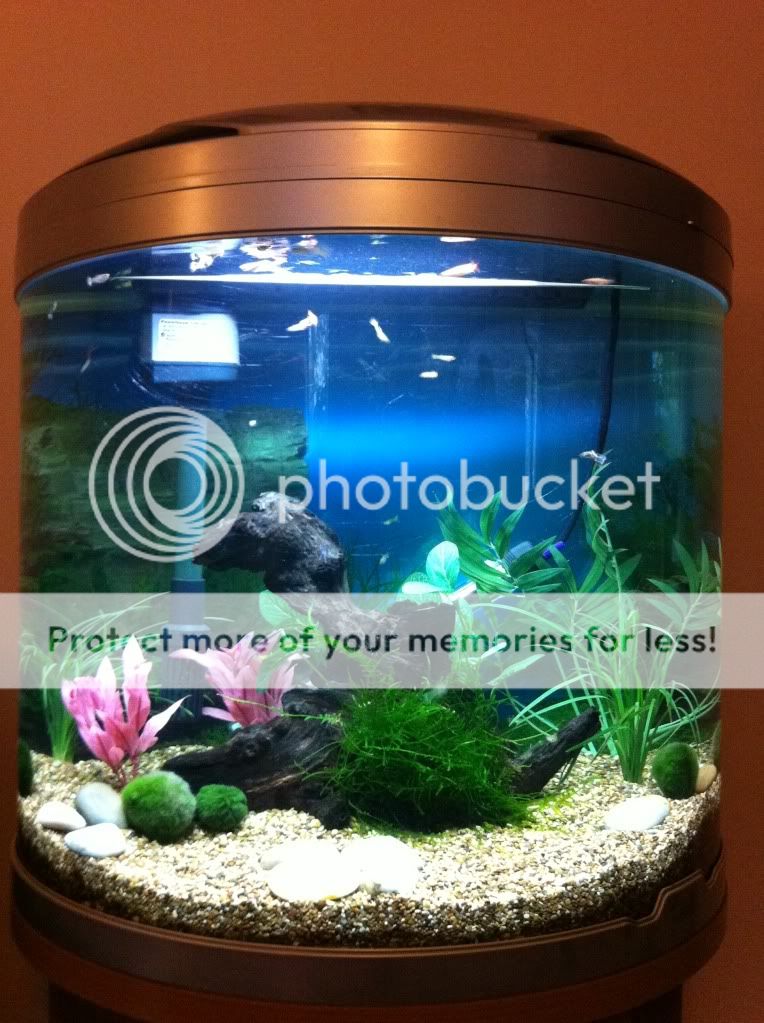 photo-1.jpg
