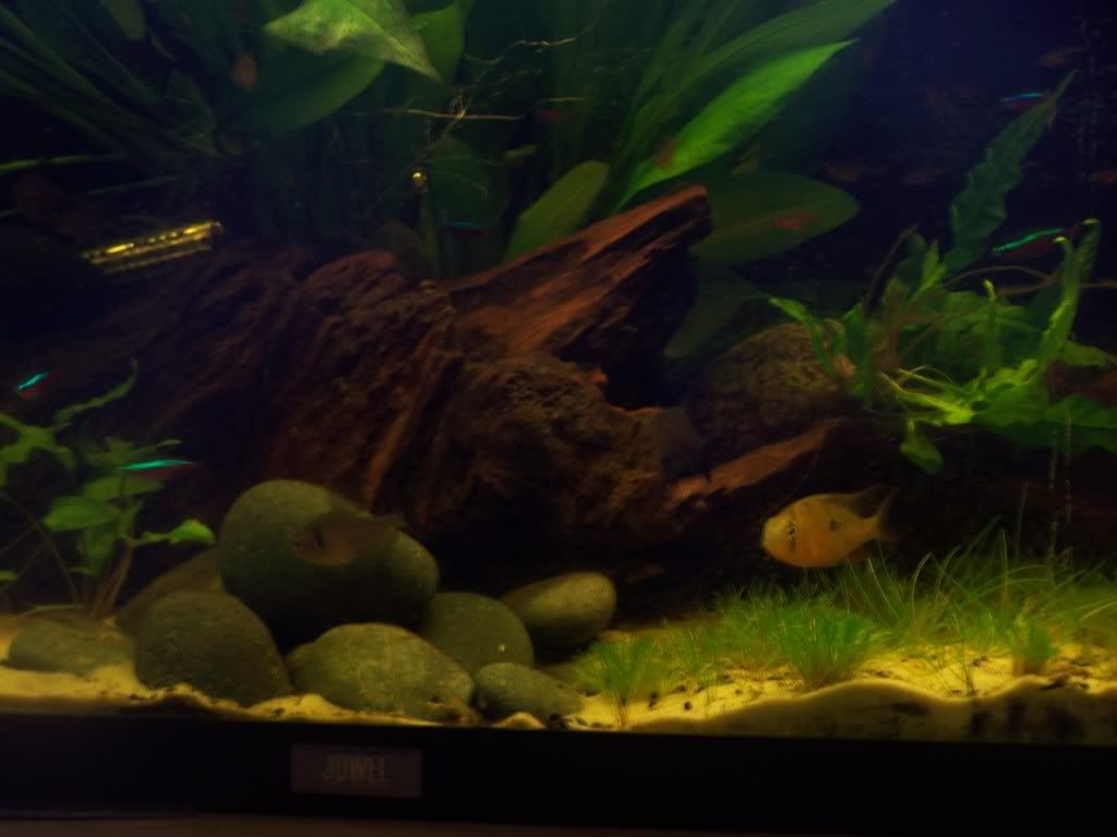 100_1561.jpg