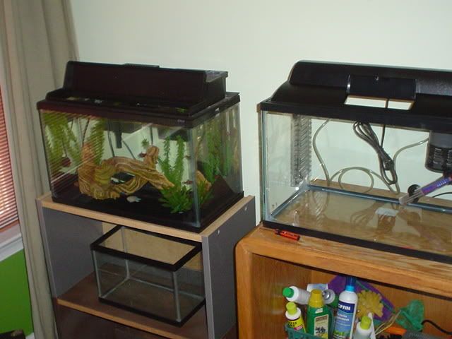 Picture069.jpg