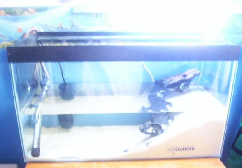 tank_UV.jpg