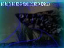 post-53540-1250202033.jpg