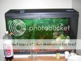 fishtank-1.jpg